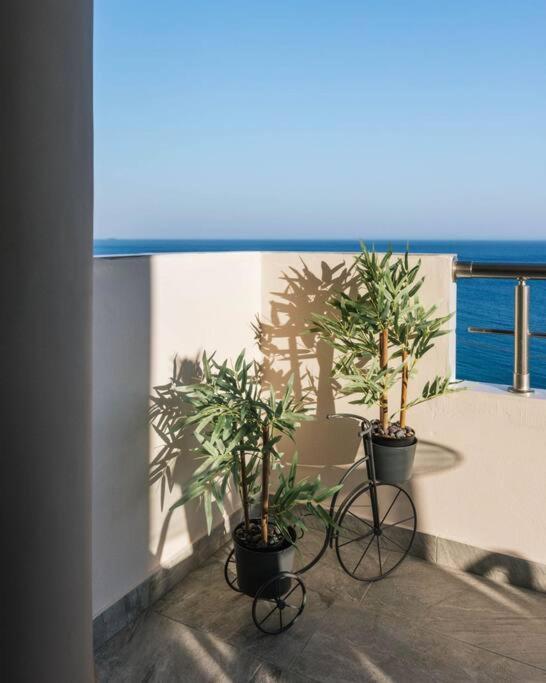 Appartement Stella